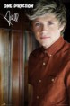 /album/fotogaleria-one-direction/one-direction-niall-portrait-i15566-jpg/